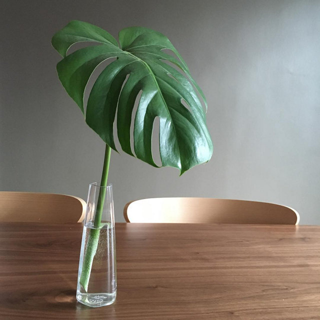 iittala | instagram image alt here